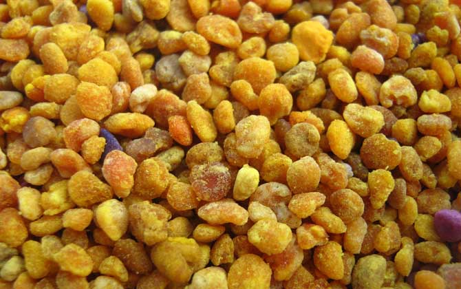 蜂花粉怎么吃效果好？吃對了好處不用多說，吃錯了反而可能有害！