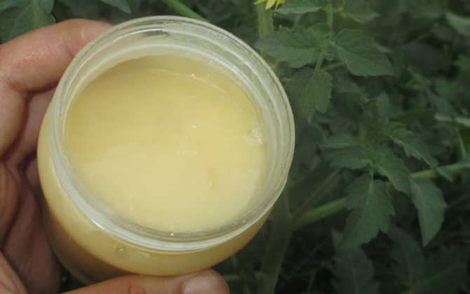 天天喝蜂蜜會不會發(fā)胖？看食用量，適量能減肥，過量越喝越胖！