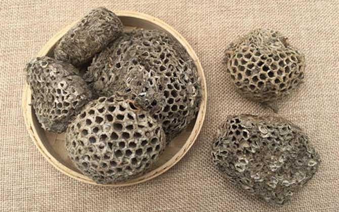 蜂房怎樣吃不會中毒？蜂房有小毒，必須在醫生的指導下服用！