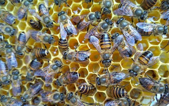 怎么判斷介王是否成功？